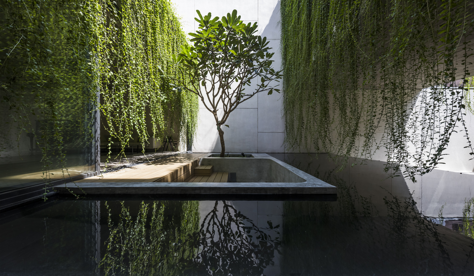 Thiết kế kiến trúc ngôi nhà xanh ở Sài Gòn đoạt giải quốc tế