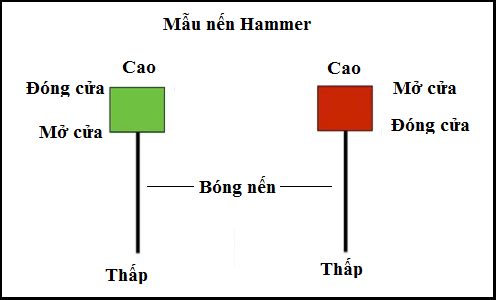 Mẫu nến Hammer
